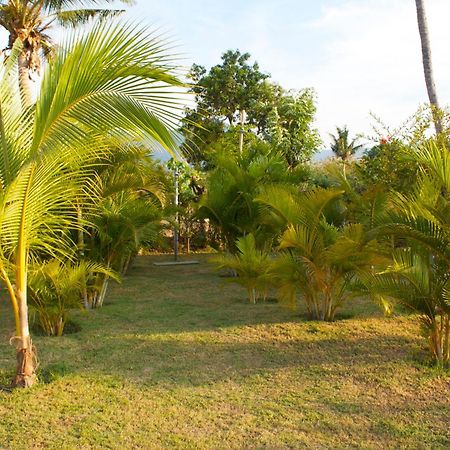 Bali Oase Resort Pemuteran Eksteriør bilde