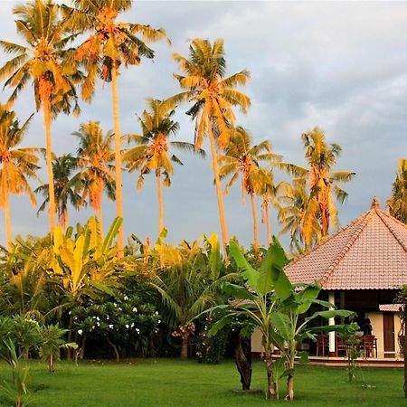 Bali Oase Resort Pemuteran Eksteriør bilde