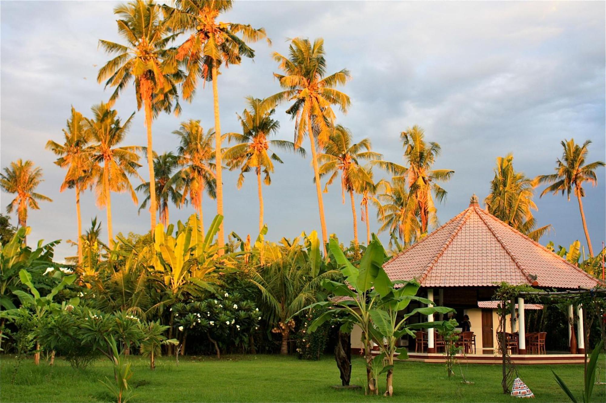 Bali Oase Resort Pemuteran Eksteriør bilde